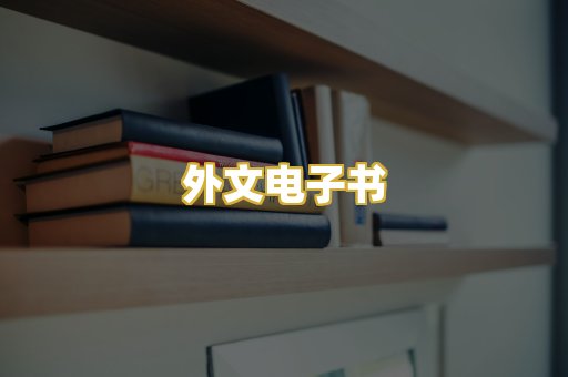 外文电子书